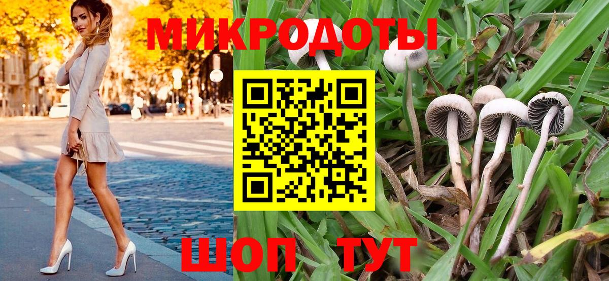 Новороссийск  как найти закладки  Вход с VPN  Галлюциногенные грибы GOLDEN TEACHER 